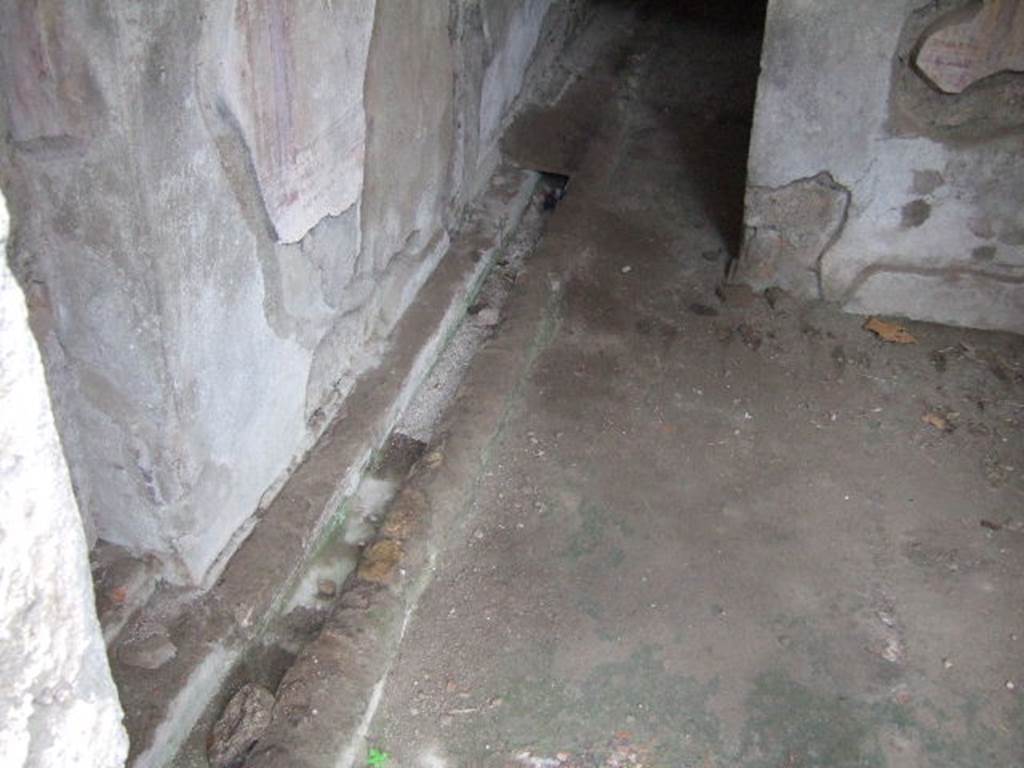 IX.9.c Pompeii. December 2005. Drainage channel at base of south wall, in room in south-west corner of portico.  According to NdS, this covered channel in the form of a step, ran along the base of the south wall of both rooms. This channel communicated with the central area of the peristyle.

