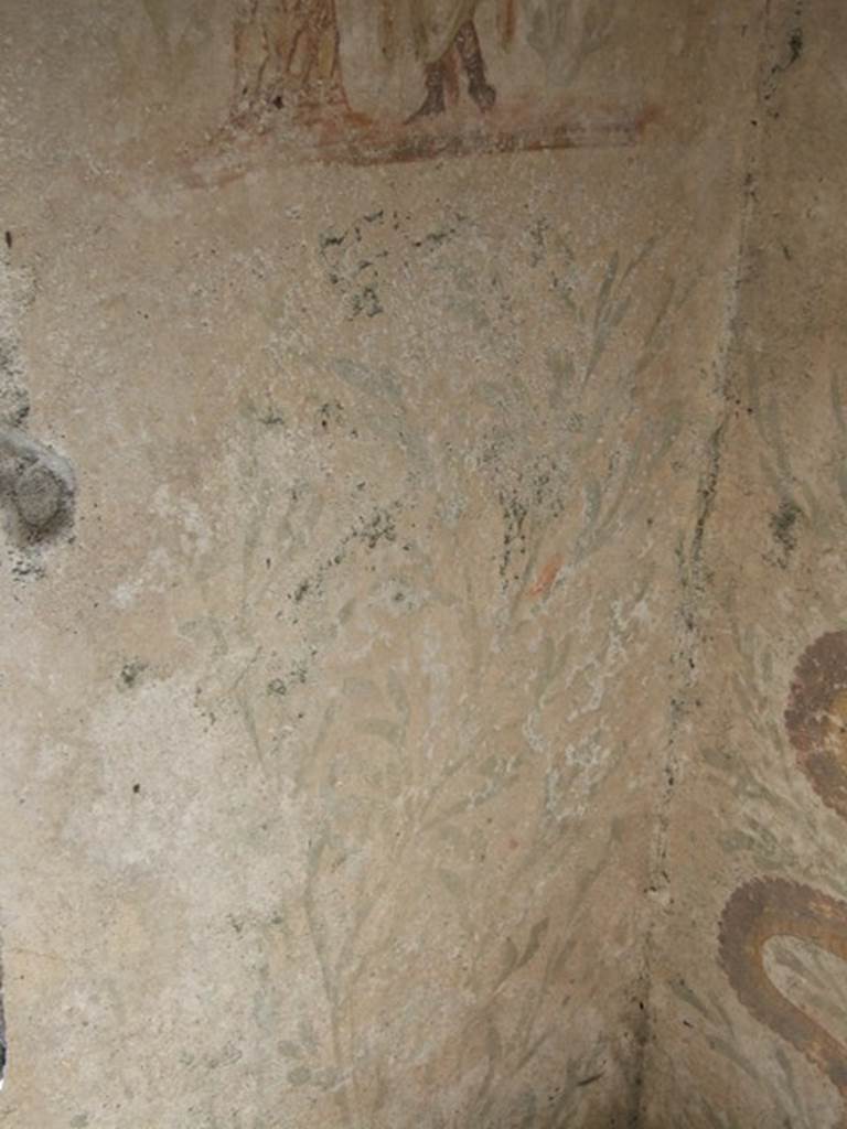IX.9.c Pompeii. March 2009. Painted plants below lararium on west wall of kitchen.