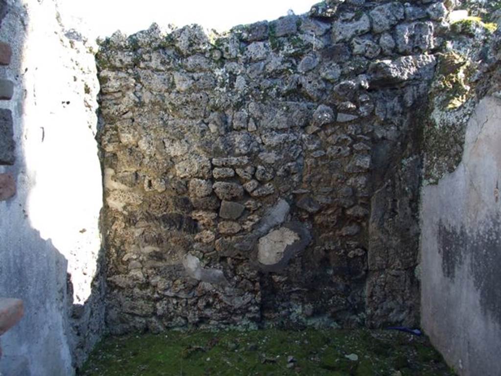 IX.9.d Pompeii. March 2009. Room g, south wall of cubiculum.