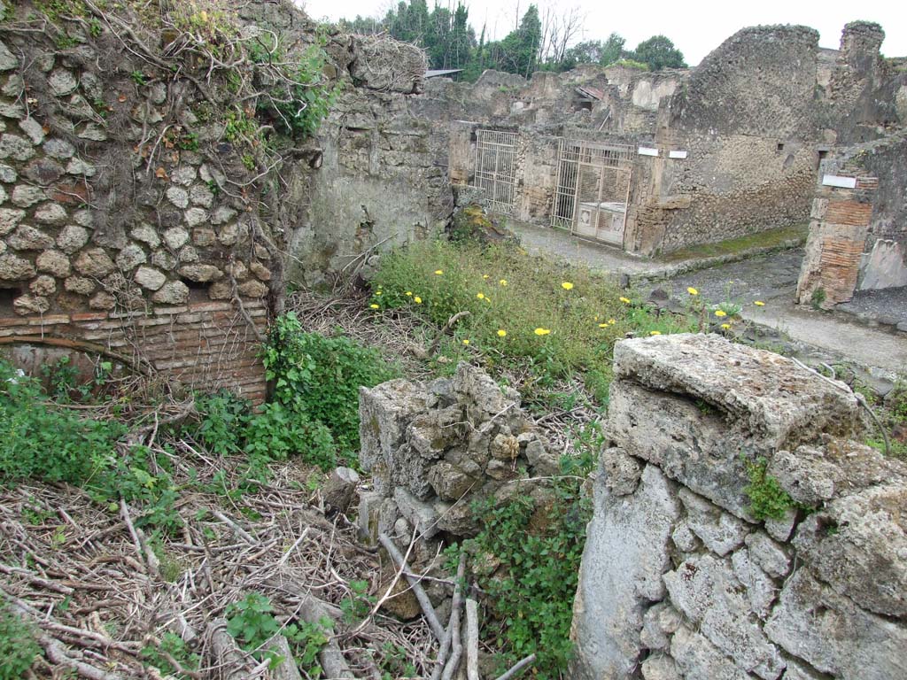 IX.10.1 Pompeii. June 2023. Atrium 2 west wall. Further excavation showing bordered panel.
IX.10.1 Pompeii. Giugno 2023. Atrio 2 parete ovest. Ulteriore scavo che mostra pannello bordato.
Photograph courtesy of Davide Peluso.
