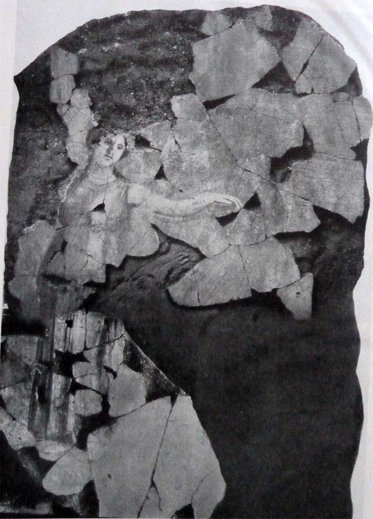 IX.12.2 Pompeii. West wall, a fragment of a painting of the liberation of Andromeda showing the name of Andromeda, painted near the remaining fragments of the figure.
See Spinazzola V., 1953. Pompei alla luce degli Scavi Nuovi di Via dellAbbondanza (anni 1910-1923). Roma: La Libreria della Stato, fig. 695.
