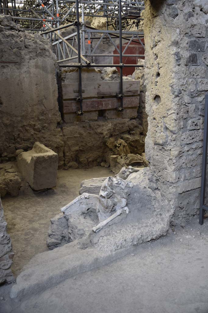 IX.12.8 Pompeii. February 2017.
Skeleton of a mule or donkey, lying in the doorway of the stable “n”. Photo courtesy of Johannes Eber.