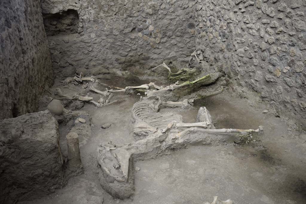 IX.12.8 Pompeii. February 2017. Centre of north end of stable “n”. Photo courtesy of Johannes Eber.