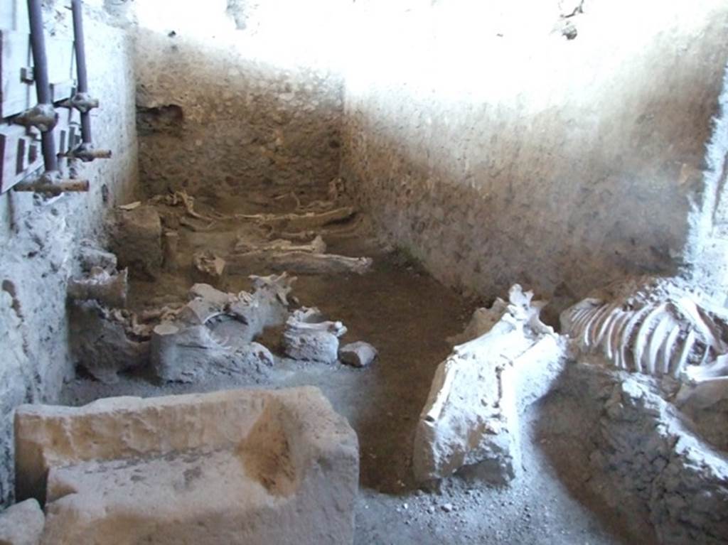 IX.12.8 Pompeii. March 2009. Stable “n”, looking north.