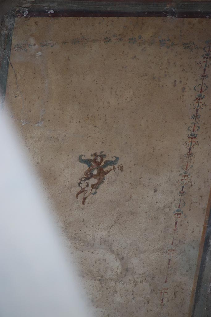 IX.12.B Pompeii. October 2024.
Room 10, detail from centre of panel on north wall. Photo courtesy of Klaus Heese.