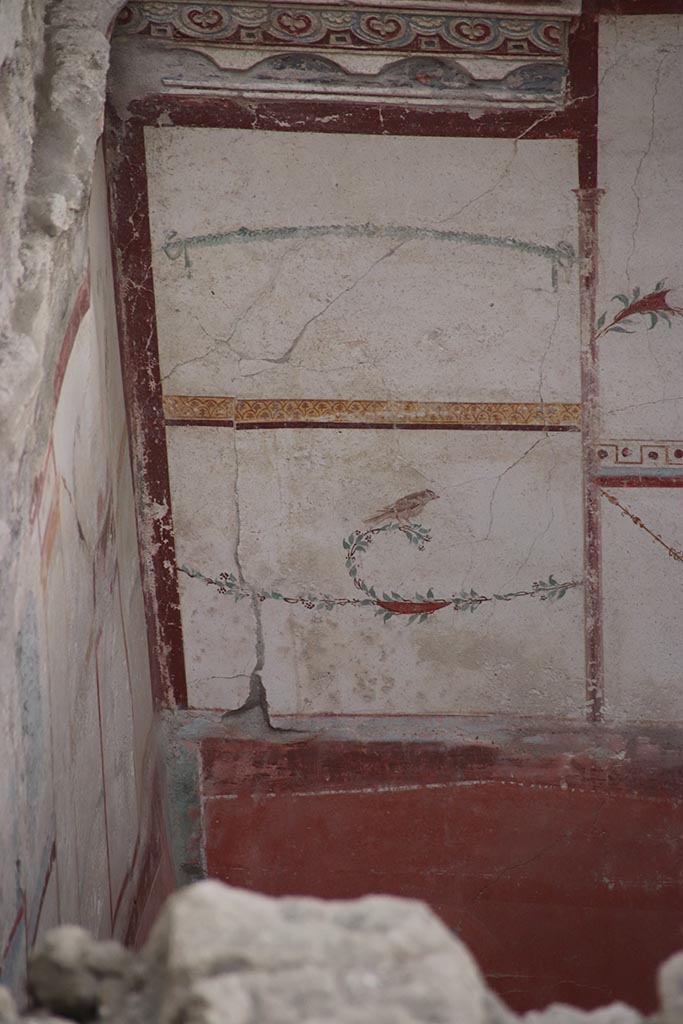 IX.12.B Pompeii. October 2024.
Room 16, detail from upper south wall in south-east corner. Photo courtesy of Klaus Heese.
