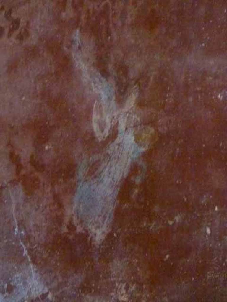 IX.13.1-3 Pompeii. May 2010. Room 13, north end of east wall, floating figure.