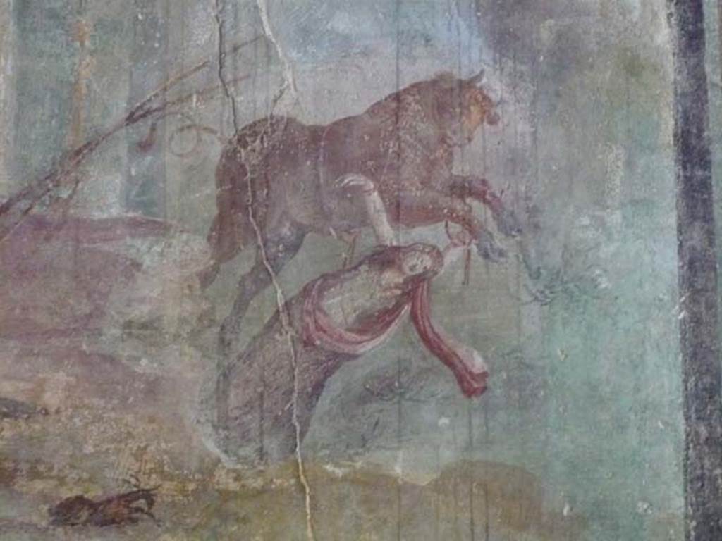 IX.13.1-3 Pompeii. May 2012. Room 13, detail from wall painting of Punishment of Dirce. Photo courtesy of Buzz Ferebee.