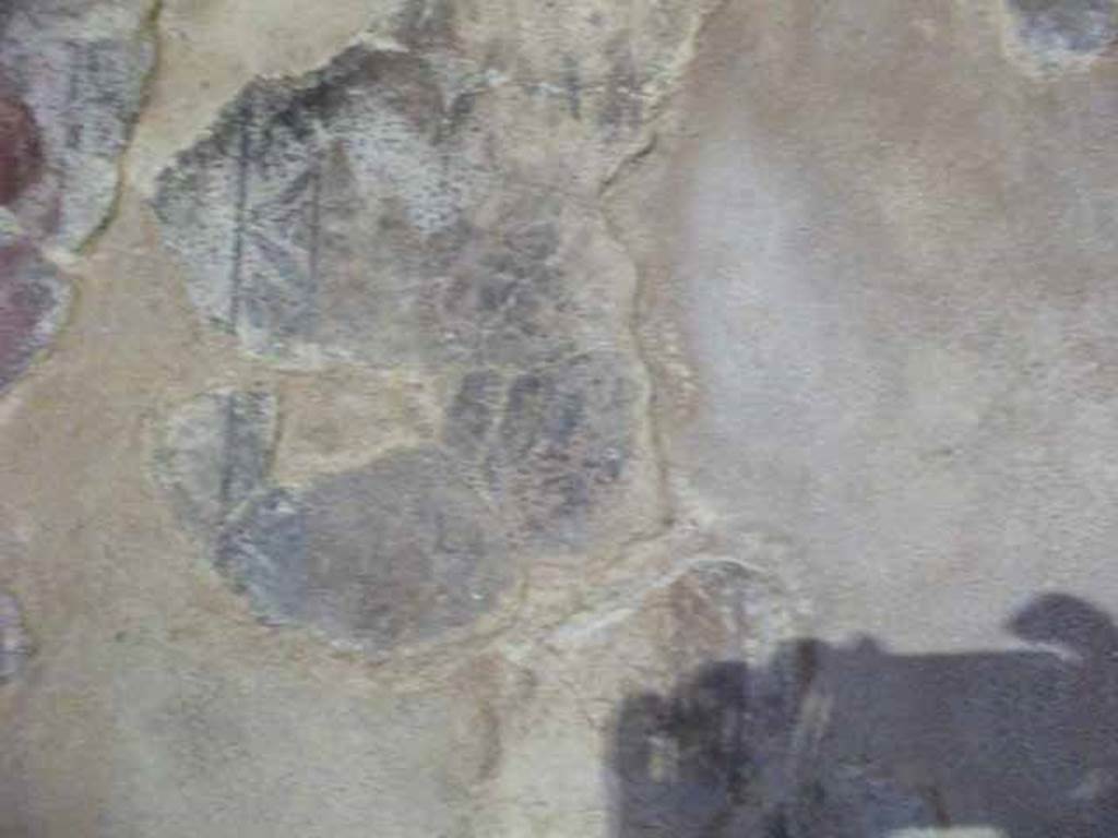 IX.13.1-3 Pompeii. May 2010. Room 22, west wall, remains of central painting.