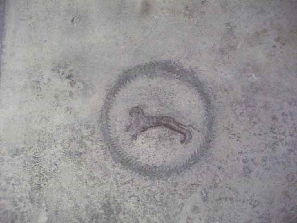 IX.13.1-3 Pompeii. May 2010. Room 22, painted medallion of panther on north wall.