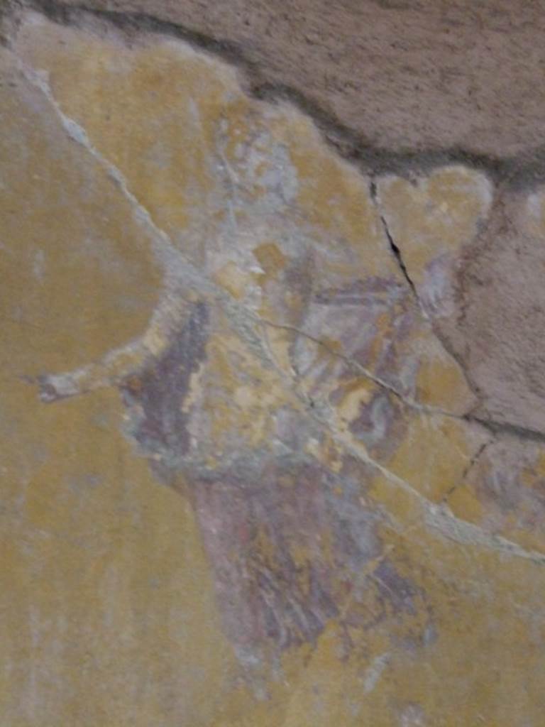 IX.13.1-3 Pompeii. March 2009. Room 26. Painting of floating figure.