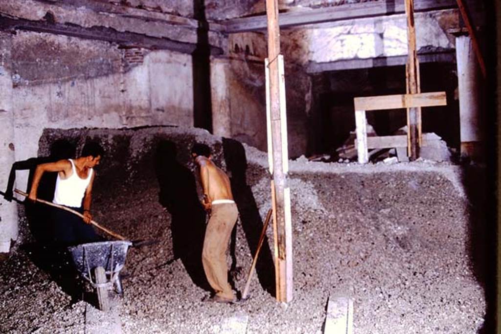 IX.13.1-3 Pompeii, 1973. Removal of lapilli in north-west corner of peristyle garden area. Photo by Stanley A. Jashemski. 
Source: The Wilhelmina and Stanley A. Jashemski archive in the University of Maryland Library, Special Collections (See collection page) and made available under the Creative Commons Attribution-Non Commercial License v.4. See Licence and use details. J73f0266
