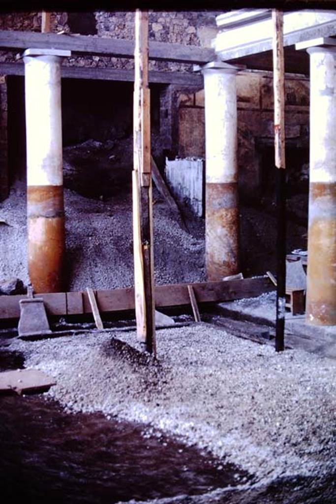 IX.13.1-3 Pompeii, 1973. Looking across lapilli in peristyle garden towards north-east corner of peristyle. Photo by Stanley A. Jashemski. 
Source: The Wilhelmina and Stanley A. Jashemski archive in the University of Maryland Library, Special Collections (See collection page) and made available under the Creative Commons Attribution-Non Commercial License v.4. See Licence and use details. J73f0436
