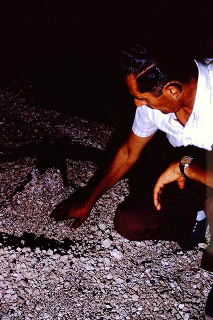 IX.13.1-3 Pompeii, 1973. Discovering carbonized material in the lapilli. Photo by Stanley A. Jashemski. 
Source: The Wilhelmina and Stanley A. Jashemski archive in the University of Maryland Library, Special Collections (See collection page) and made available under the Creative Commons Attribution-Non Commercial License v.4. See Licence and use details. J73f0440
