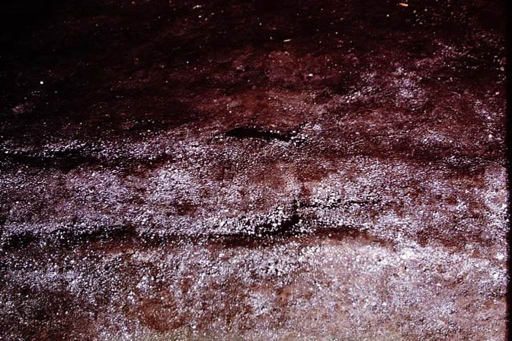 IX.13.1-3 Pompeii, 1973. Outline of ladder.  Photo by Stanley A. Jashemski. 
Source: The Wilhelmina and Stanley A. Jashemski archive in the University of Maryland Library, Special Collections (See collection page) and made available under the Creative Commons Attribution-Non Commercial License v.4. See Licence and use details. J73f0645
