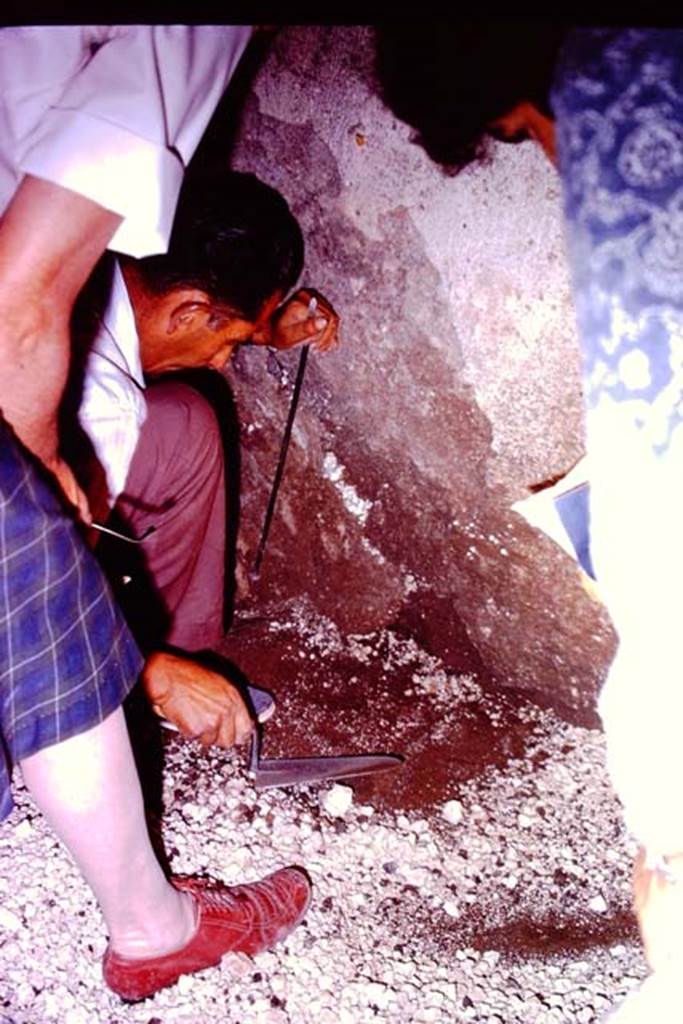 IX.13.1-3 Pompeii, 1973. Discovery at the base of the west wall. Photo by Stanley A. Jashemski. 
Source: The Wilhelmina and Stanley A. Jashemski archive in the University of Maryland Library, Special Collections (See collection page) and made available under the Creative Commons Attribution-Non Commercial License v.4. See Licence and use details. J73f0480
