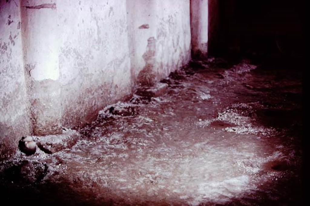 IX.13.1-3 Pompeii, 1973. Looking north along base of west wall of peristyle. Photo by  Stanley A. Jashemski. 
Source: The Wilhelmina and Stanley A. Jashemski archive in the University of Maryland Library, Special Collections (See collection page) and made available under the Creative Commons Attribution-Non Commercial License v.4. See Licence and use details. J73f0507
