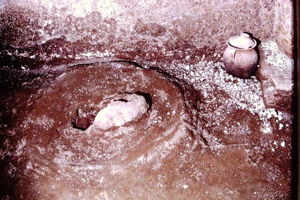 IX.13.1-3 Pompeii, 1973. Sombrero and pot at base of west wall. Photo by Stanley A. Jashemski. 
Source: The Wilhelmina and Stanley A. Jashemski archive in the University of Maryland Library, Special Collections (See collection page) and made available under the Creative Commons Attribution-Non Commercial License v.4. See Licence and use details. J73f0557
