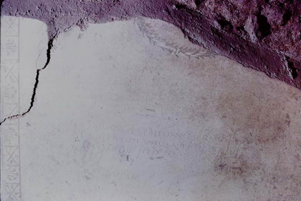 IX.13.1-3 Pompeii, 1973. Graffiti on wall. Photo by Stanley A. Jashemski. 
Source: The Wilhelmina and Stanley A. Jashemski archive in the University of Maryland Library, Special Collections (See collection page) and made available under the Creative Commons Attribution-Non Commercial License v.4. See Licence and use details. J73f0509
