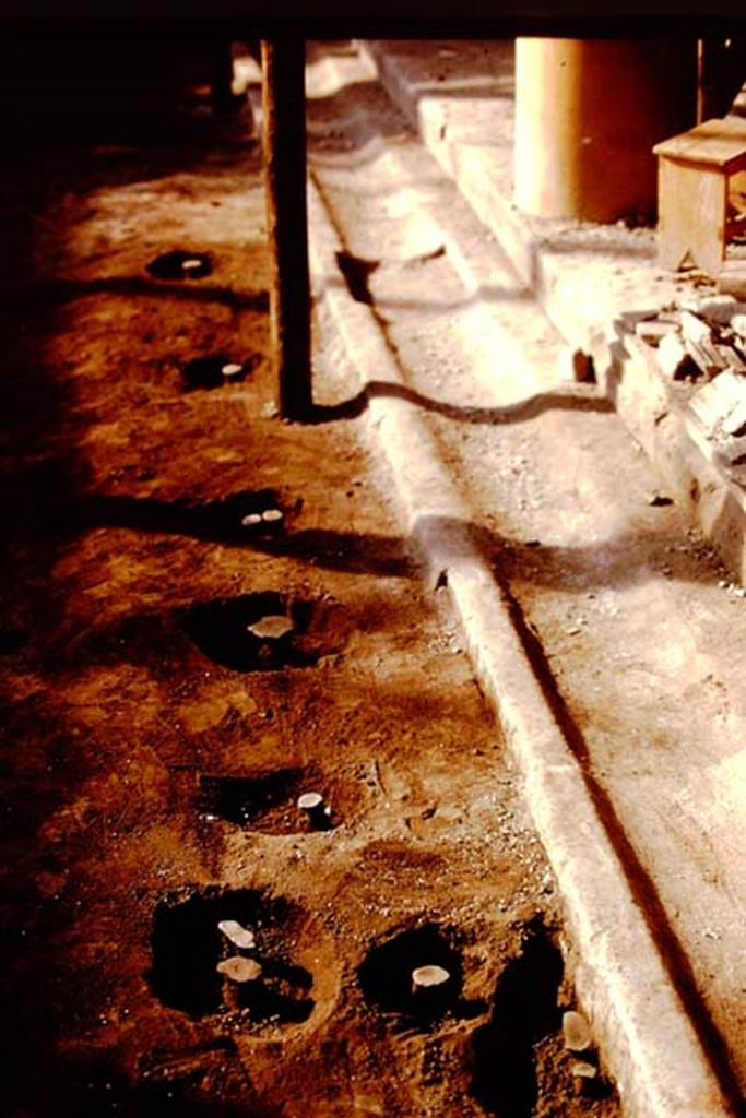 IX.13.1-3 Pompeii, 1973. Small root cavities on edge of gutter in peristyle. Photo by Stanley A. Jashemski. 
Source: The Wilhelmina and Stanley A. Jashemski archive in the University of Maryland Library, Special Collections (See collection page) and made available under the Creative Commons Attribution-Non Commercial License v.4. See Licence and use details. J73f0647
