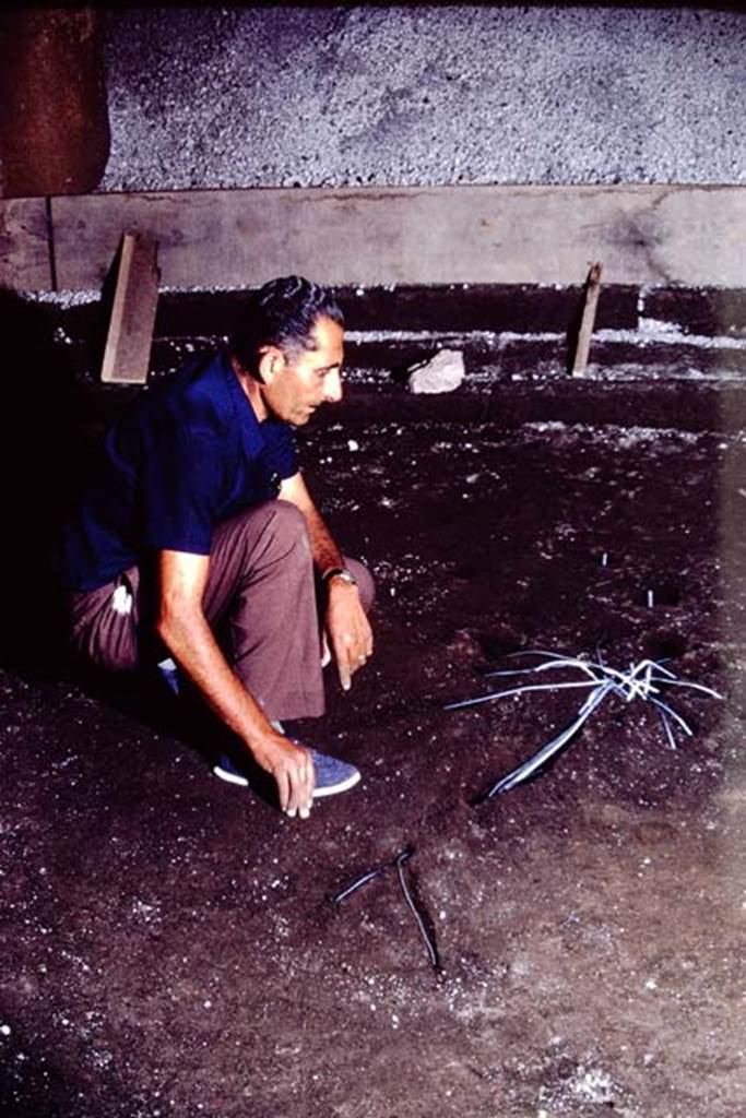 IX.13.1-3 Pompeii, 1973. Cleaned cavity, preparing the reinforcing. Photo by Stanley A. Jashemski. 
Source: The Wilhelmina and Stanley A. Jashemski archive in the University of Maryland Library, Special Collections (See collection page) and made available under the Creative Commons Attribution-Non Commercial License v.4. See Licence and use details. J73f0527
