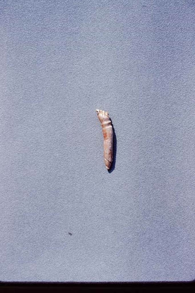 IX.13.1-3 Pompeii, 1973. A small piece of coral, (reverse side), less than one inch in length, carved with a tiny hand at one end and a phallus at the other. Photo by Stanley A. Jashemski. 
Source: The Wilhelmina and Stanley A. Jashemski archive in the University of Maryland Library, Special Collections (See collection page) and made available under the Creative Commons Attribution-Non Commercial License v.4. See Licence and use details. J73f0782
