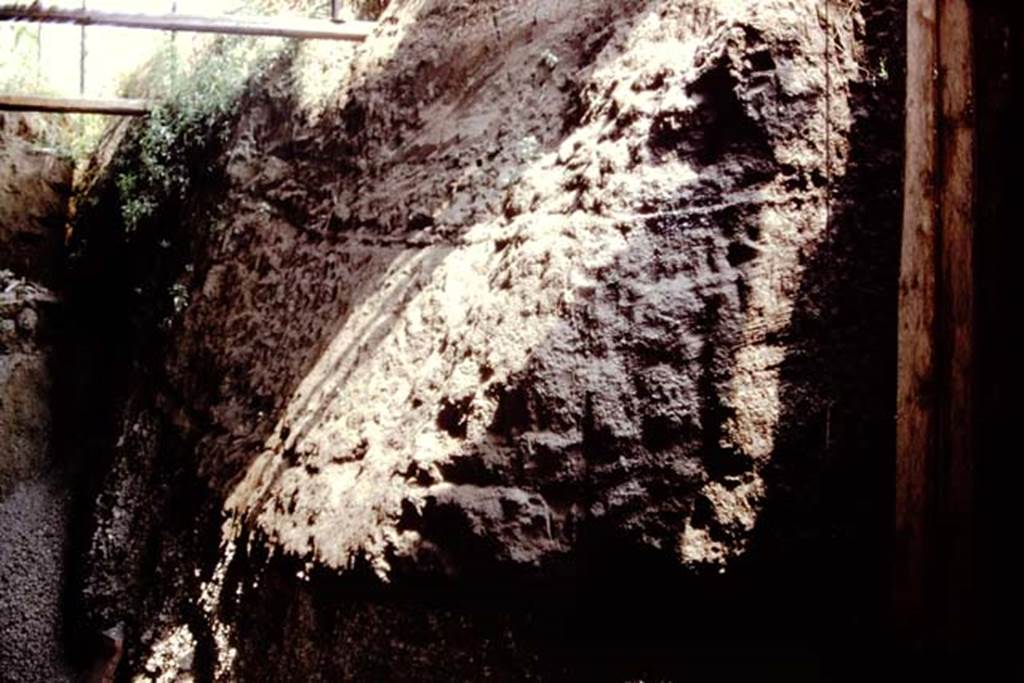 IX.13.1-3 Pompeii. 1972. Unexcavated lapilli. Photo by Stanley A. Jashemski.
Source: The Wilhelmina and Stanley A. Jashemski archive in the University of Maryland Library, Special Collections (See collection page) and made available under the Creative Commons Attribution-Non Commercial License v.4. See Licence and use details.
J72f0250