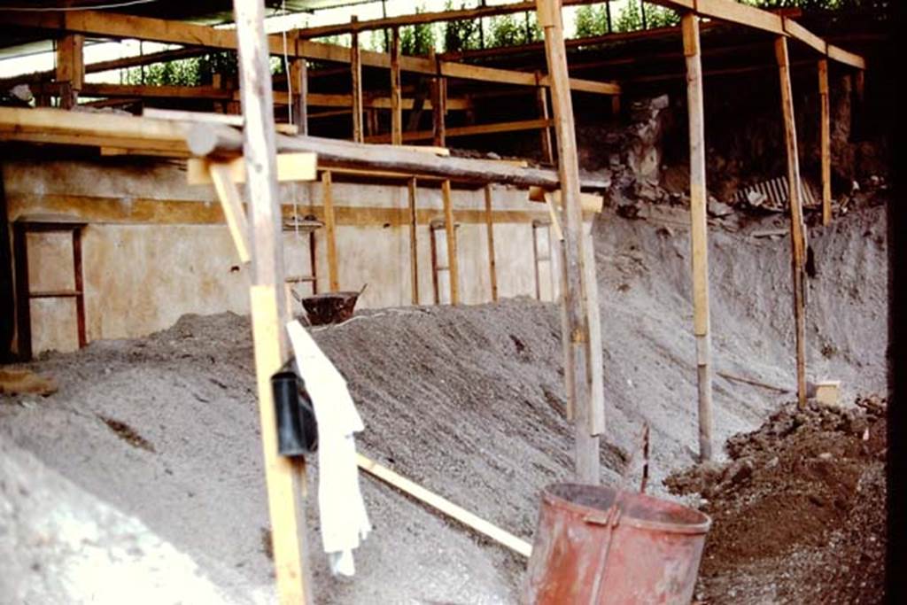 IX.13.1-3 Pompeii. 1972. Looking north-west towards planted top of wall across peristyle/garden during excavation. Photo by Stanley A. Jashemski.
Source: The Wilhelmina and Stanley A. Jashemski archive in the University of Maryland Library, Special Collections (See collection page) and made available under the Creative Commons Attribution-Non Commercial License v.4. See Licence and use details.
J72f0251