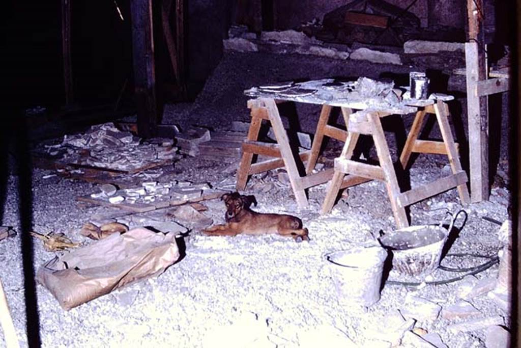 IX.13.1-3 Pompeii. 1972. During excavations. Photo by Stanley A. Jashemski.
Source: The Wilhelmina and Stanley A. Jashemski archive in the University of Maryland Library, Special Collections (See collection page) and made available under the Creative Commons Attribution-Non Commercial License v.4. See Licence and use details. J72f0435