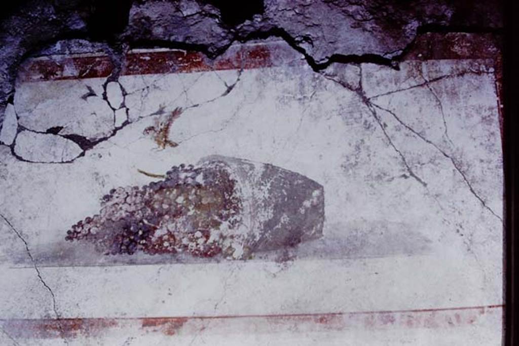 IX.13.1-3 Pompeii. 1972. Room 9, detail of painting on east wall. Photo by Stanley A. Jashemski.
Source: The Wilhelmina and Stanley A. Jashemski archive in the University of Maryland Library, Special Collections (See collection page) and made available under the Creative Commons Attribution-Non Commercial License v.4. See Licence and use details. J72f0447