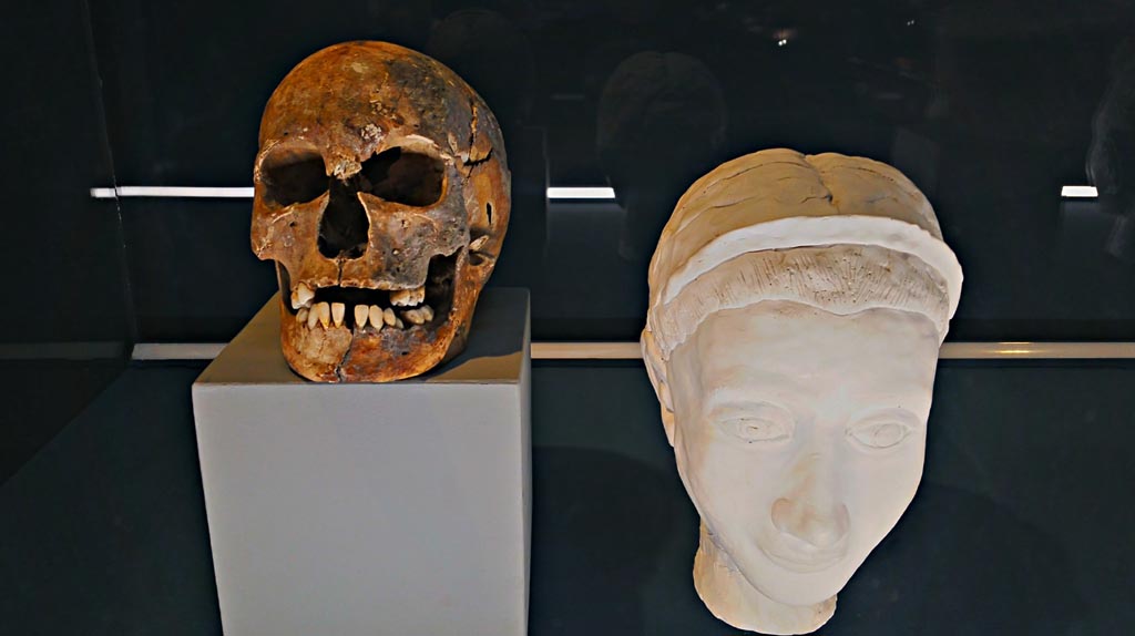 IX.13.1/3 Pompeii. December 2019.
Skeleton of head and reconstructed face of a young girl of around 20 years in the last months of pregnancy at the time of the eruption;
Photo courtesy of Giuseppe Ciaramella.