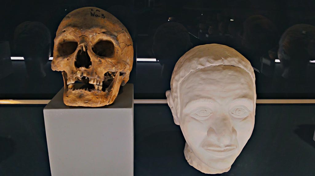 IX.13.1/3 Pompeii. December 2019.
Skeleton of head and reconstructed face of an adult male between 25 and 35 years of age. Photo courtesy of Giuseppe Ciaramella.