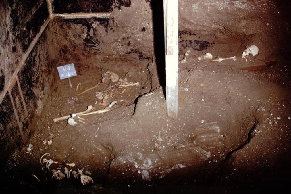 IX.13.1-3 Pompeii. 1974. Discovery of skeletons in Room 10, near east wall.
These are believed to be Julius Polybius and his family. Photo by Stanley A. Jashemski.
Source: The Wilhelmina and Stanley A. Jashemski archive in the University of Maryland Library, Special Collections (See collection page) and made available under the Creative Commons Attribution-Non Commercial License v.4. See Licence and use details. J74f0859