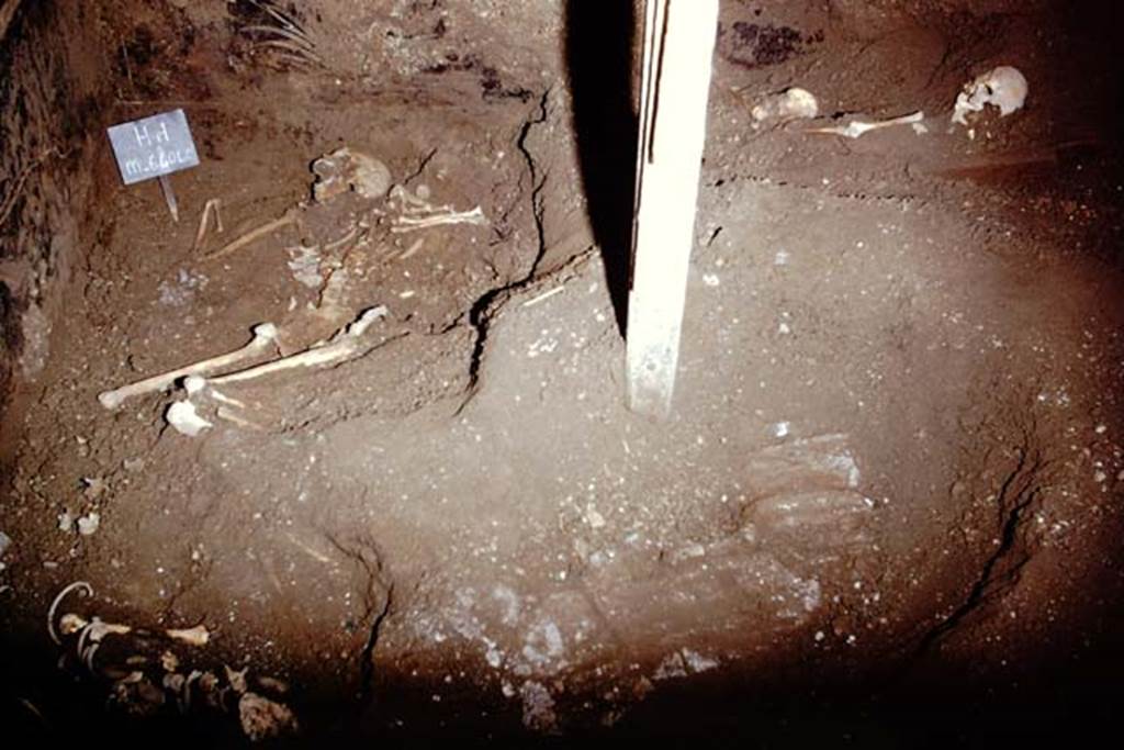 IX.13.1-3 Pompeii. 1974.
Room 10, skeletons emerging for the first time in 2000 years. Looking towards the north-west corner. Photo by Stanley A. Jashemski.
Source: The Wilhelmina and Stanley A. Jashemski archive in the University of Maryland Library, Special Collections (See collection page) and made available under the Creative Commons Attribution-Non-Commercial License v.4. See Licence and use details.
J74f0860