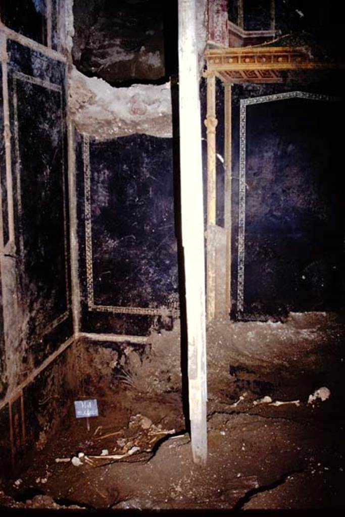 IX.13.1-3 Pompeii. 1974. Room 10, north-west corner. Photo by Stanley A. Jashemski.
Source: The Wilhelmina and Stanley A. Jashemski archive in the University of Maryland Library, Special Collections (See collection page) and made available under the Creative Commons Attribution-Non Commercial License v.4. See Licence and use details. J74f0861