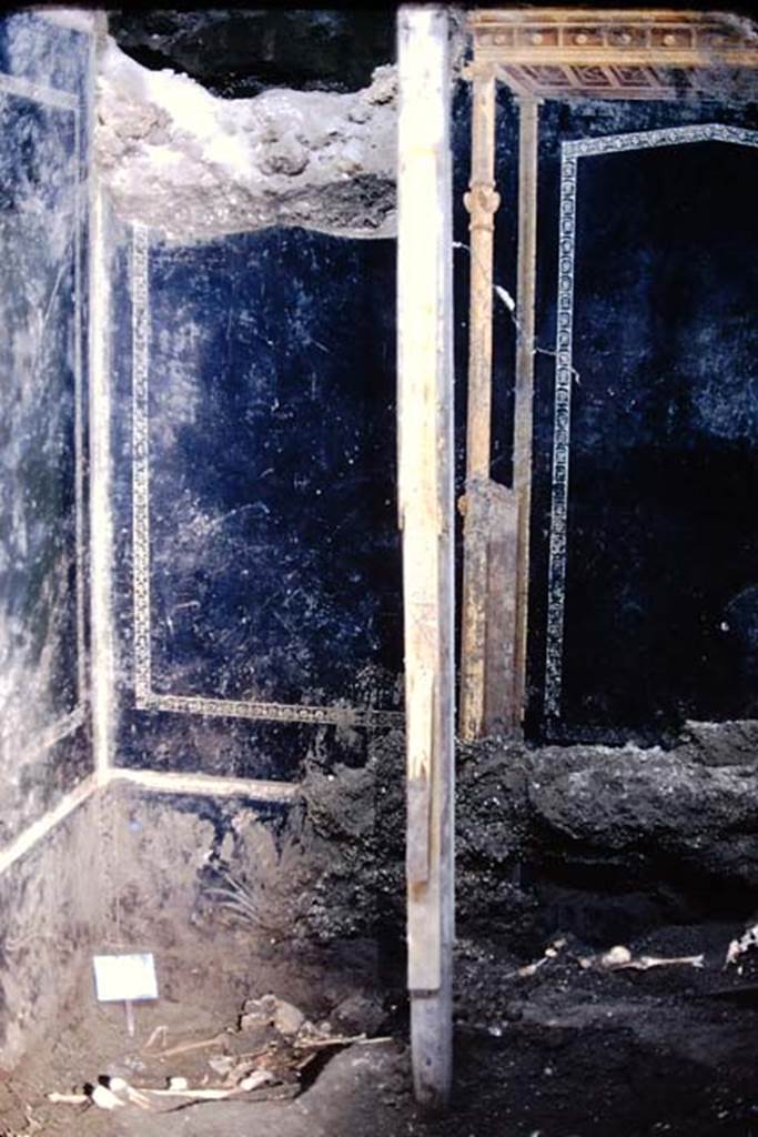 IX.13.1-3 Pompeii. 1974. Room 10, north-west corner. Photo by Stanley A. Jashemski.
Source: The Wilhelmina and Stanley A. Jashemski archive in the University of Maryland Library, Special Collections (See collection page) and made available under the Creative Commons Attribution-Non Commercial License v.4. See Licence and use details. J74f0862