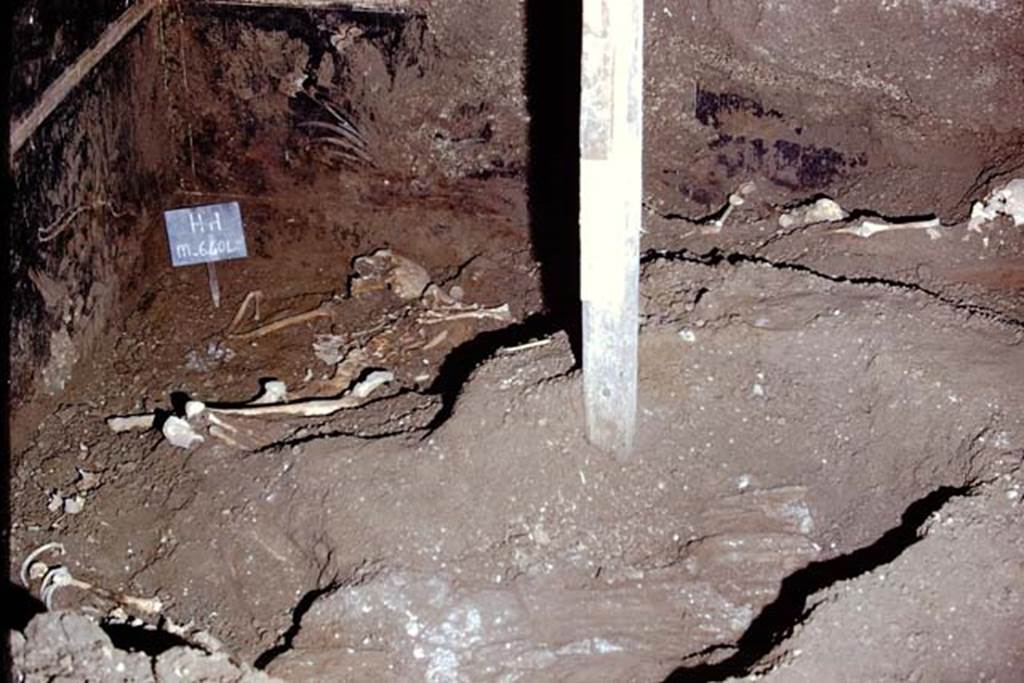 IX.13.1-3 Pompeii. 1974. Room 10, skeletons. Photo by Stanley A. Jashemski.
Source: The Wilhelmina and Stanley A. Jashemski archive in the University of Maryland Library, Special Collections (See collection page) and made available under the Creative Commons Attribution-Non Commercial License v.4. See Licence and use details. J74f0863