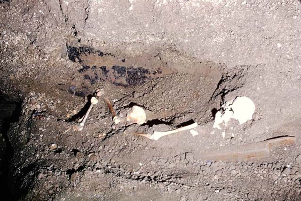 IX.13.1-3 Pompeii. 1974. Skeleton found near north wall, possibly the pregnant daughter of Julius Polybius, or someone taking shelter from the eruption.
Photo by Stanley A. Jashemski.
Source: The Wilhelmina and Stanley A. Jashemski archive in the University of Maryland Library, Special Collections (See collection page) and made available under the Creative Commons Attribution-Non Commercial License v.4. See Licence and use details. J74f0864