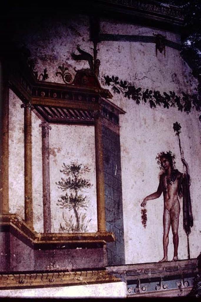 IX.13.1-3 Pompeii. 1972. Room 11, west wall. Detail of painted figure.  Photo by Stanley A. Jashemski. 
Source: The Wilhelmina and Stanley A. Jashemski archive in the University of Maryland Library, Special Collections (See collection page) and made available under the Creative Commons Attribution-Non Commercial License v.4. See Licence and use details. J72f0443
