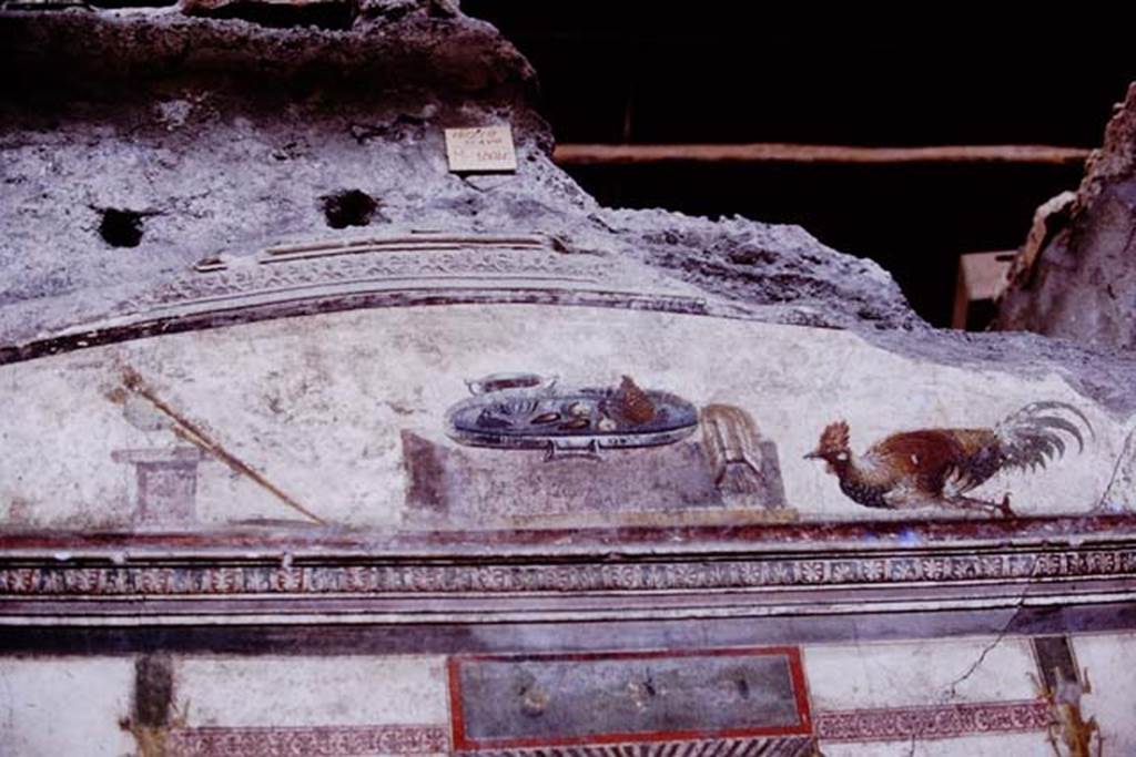 IX.13.1-3 Pompeii. 1975. Room 11, upper north wall. Photo by Stanley A. Jashemski.   
Source: The Wilhelmina and Stanley A. Jashemski archive in the University of Maryland Library, Special Collections (See collection page) and made available under the Creative Commons Attribution-Non Commercial License v.4. See Licence and use details. J75f0682
