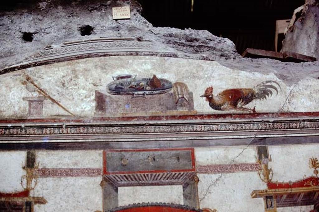 IX.13.1-3 Pompeii. 1974. Room 11, upper north wall during excavations. Photo by Stanley A. Jashemski.   
Source: The Wilhelmina and Stanley A. Jashemski archive in the University of Maryland Library, Special Collections (See collection page) and made available under the Creative Commons Attribution-Non Commercial License v.4. See Licence and use details. J74f0855


