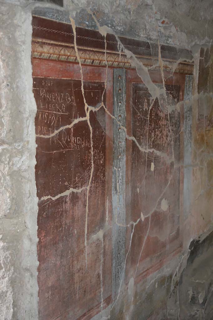 IX.14.4 Pompeii. September 2019. Room 5, detail from east wall.
Foto Annette Haug, ERC Grant 681269 DÉCOR.


