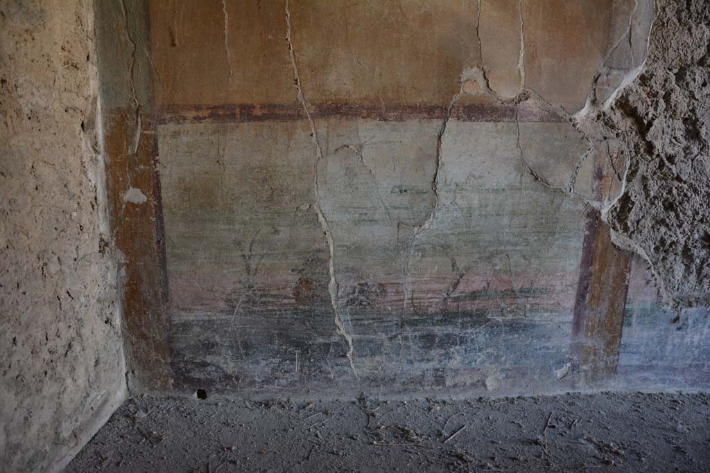 IX.14.4 Pompeii. September 2019. Room 5, detail from lower west wall at south end.
Foto Annette Haug, ERC Grant 681269 DÉCOR.
