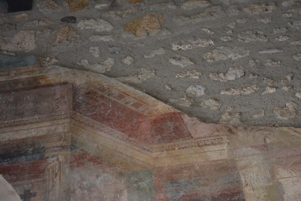 IX.14.4 Pompeii. September 2019. Room 3, detail from upper east wall.
Foto Annette Haug, ERC Grant 681269 DÉCOR.
