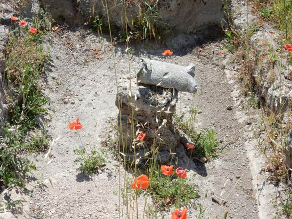 IX.14.4 Pompeii. May 2017. Detail of the remains of the fountain base, in centre of the pool. Photo courtesy of Buzz Ferebee.
