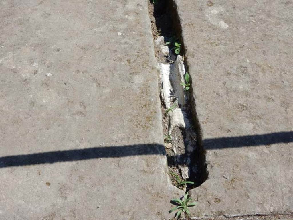 IX.14.4 Pompeii. May 2017. Detail of channel/conduit in centre of impluvium. Photo courtesy of Buzz Ferebee.