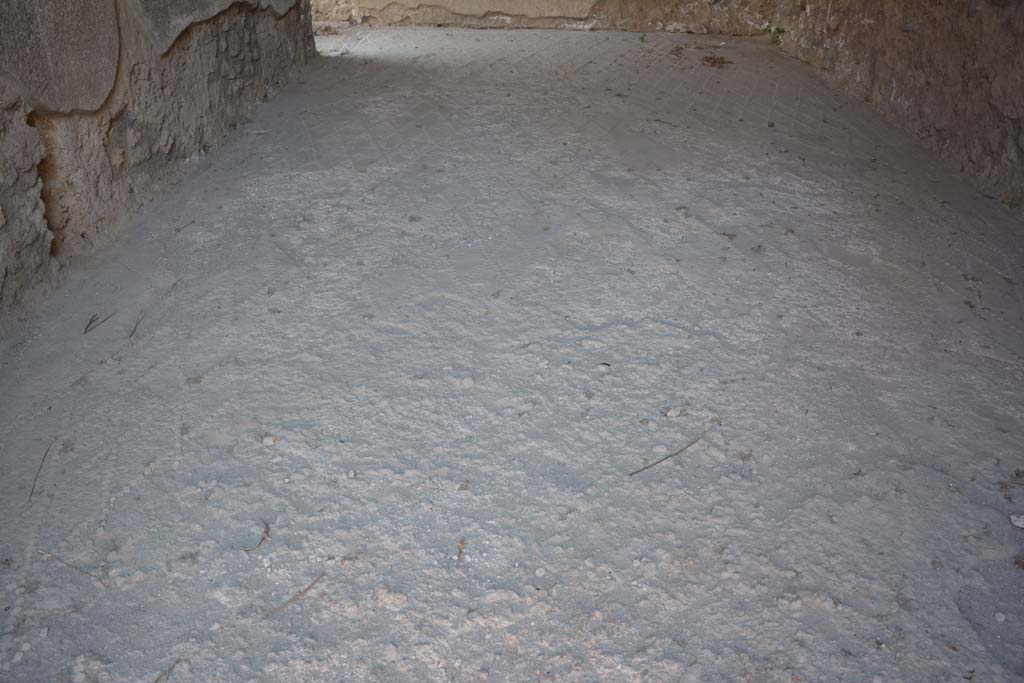 IX.14.4 Pompeii. July 2017. Room 31, looking west across flooring in triclinium.
Foto Annette Haug, ERC Grant 681269 DÉCOR.
