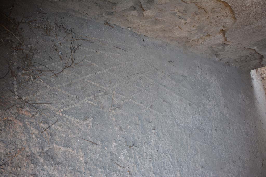 IX.14.4 Pompeii. July 2017. Room 31, detail of flooring near south wall of triclinium.
Foto Annette Haug, ERC Grant 681269 DÉCOR.