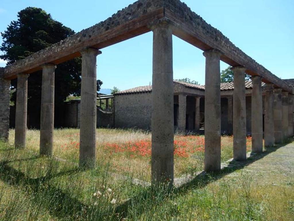 IX.14.4 Pompeii. May2017. Peristyle 1, looking south-west across north portico towards room 3 and room 5. Photo courtesy of Buzz Ferebee.