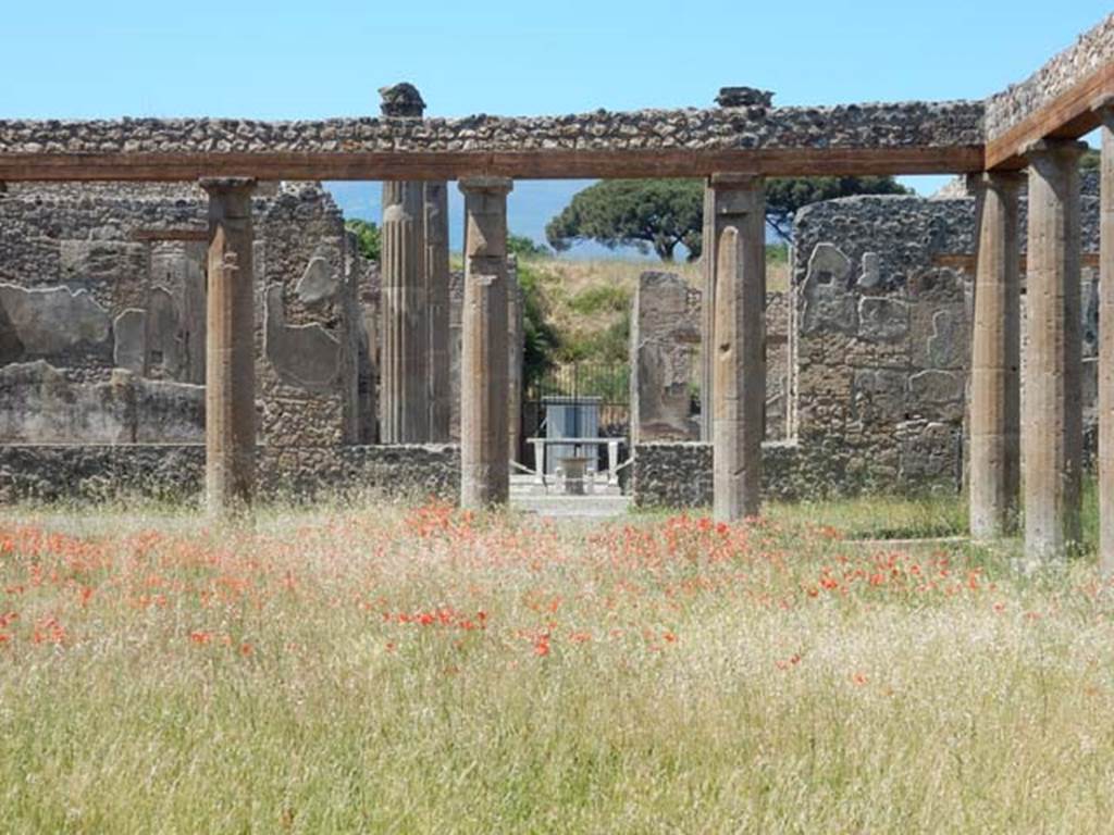 IX.14.4 Pompeii. May 2017. Looking across peristyle towards north portico, and doorway to tablinum and atrium.  Photo courtesy of Buzz Ferebee.

